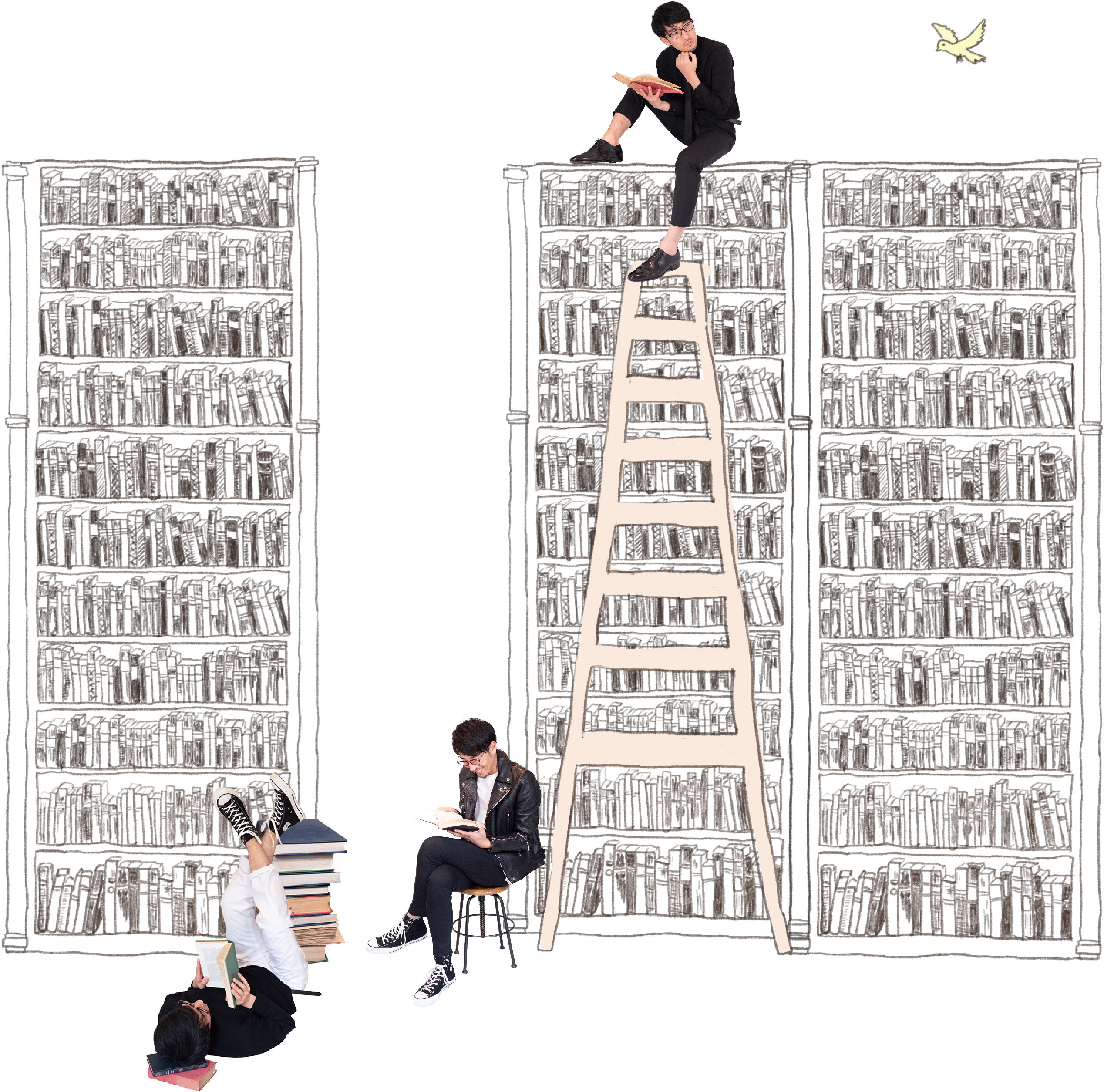 相樂孝仁・図書館