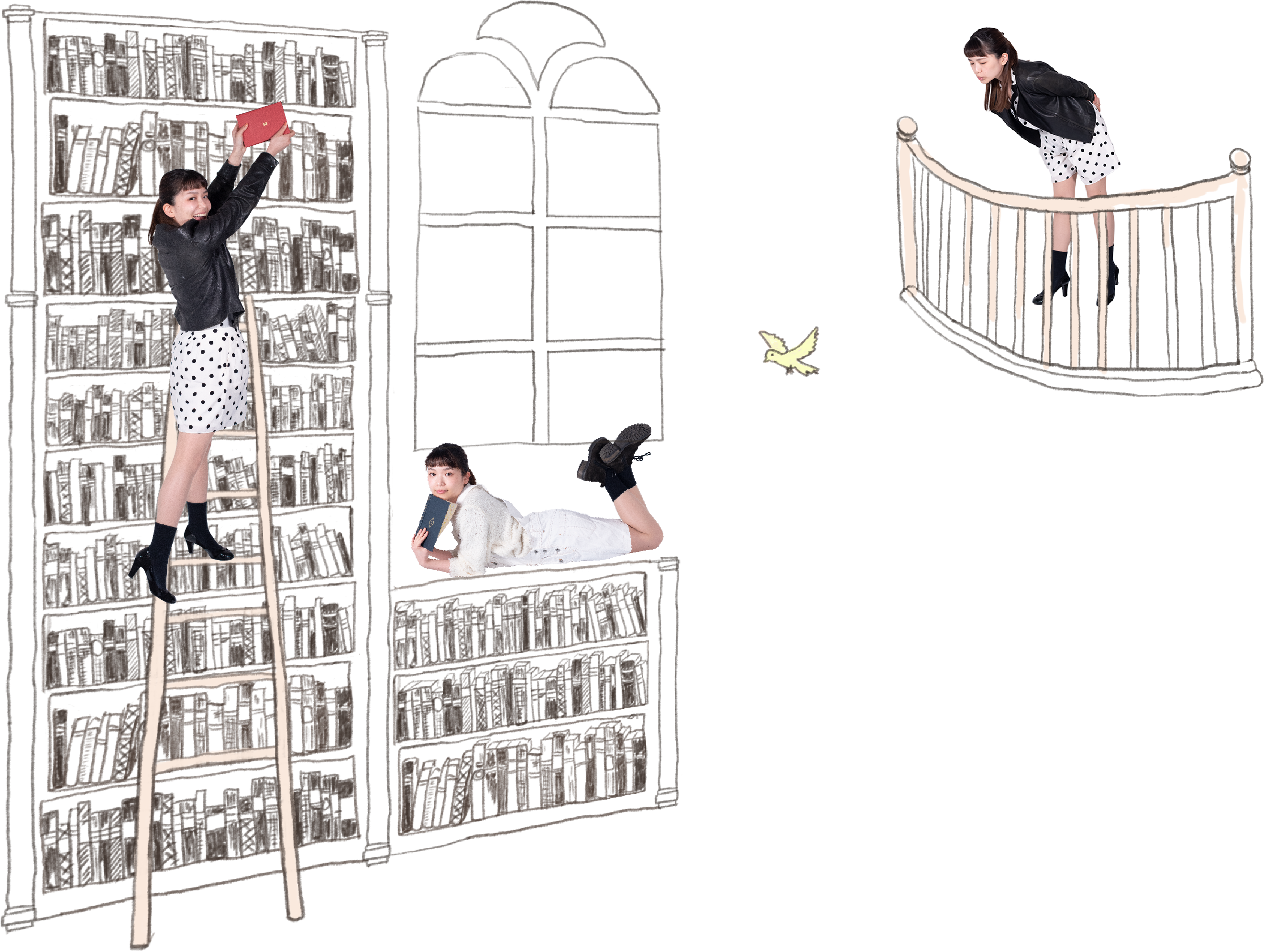 篠原彩・図書館