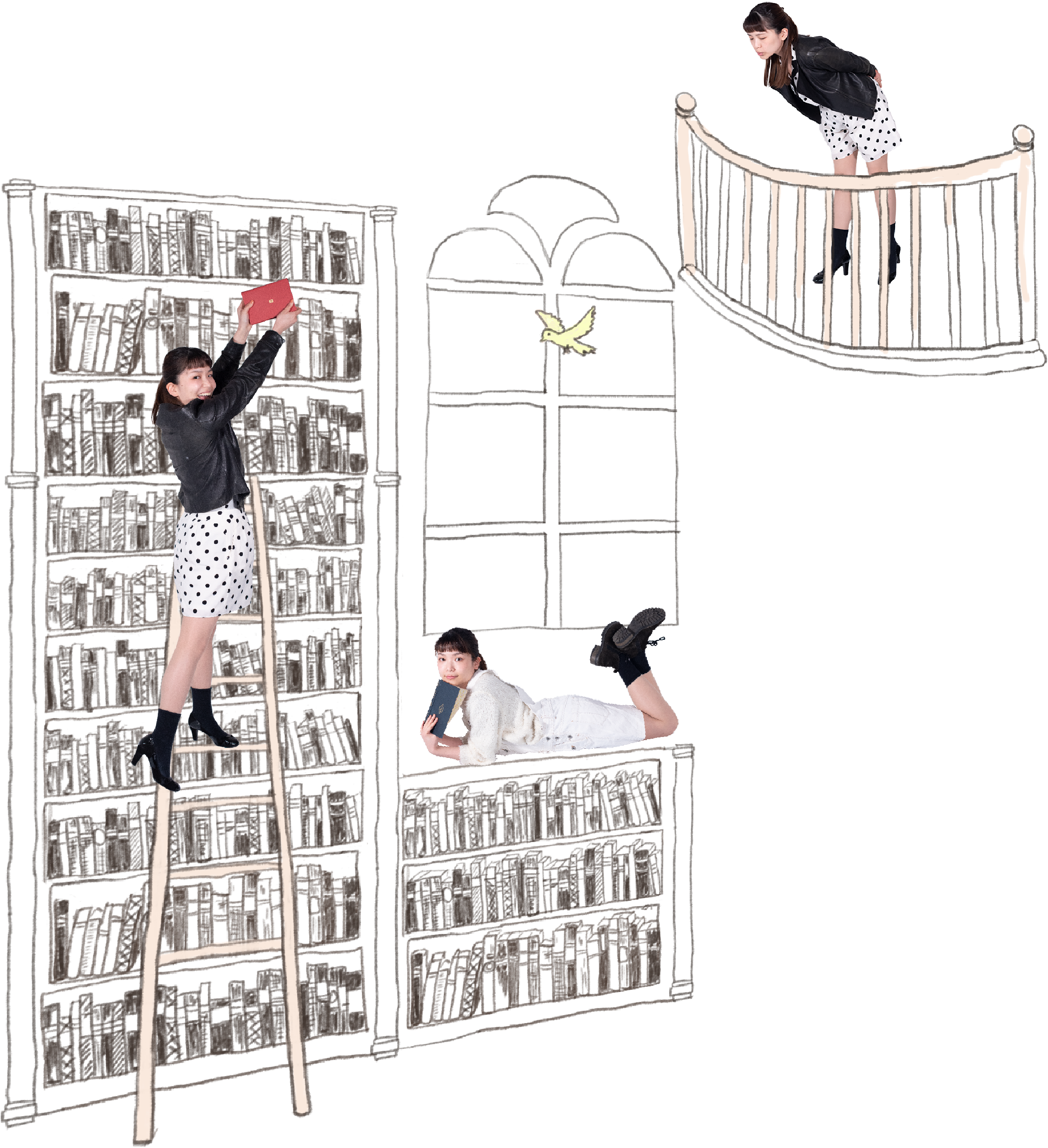 篠原彩・図書館