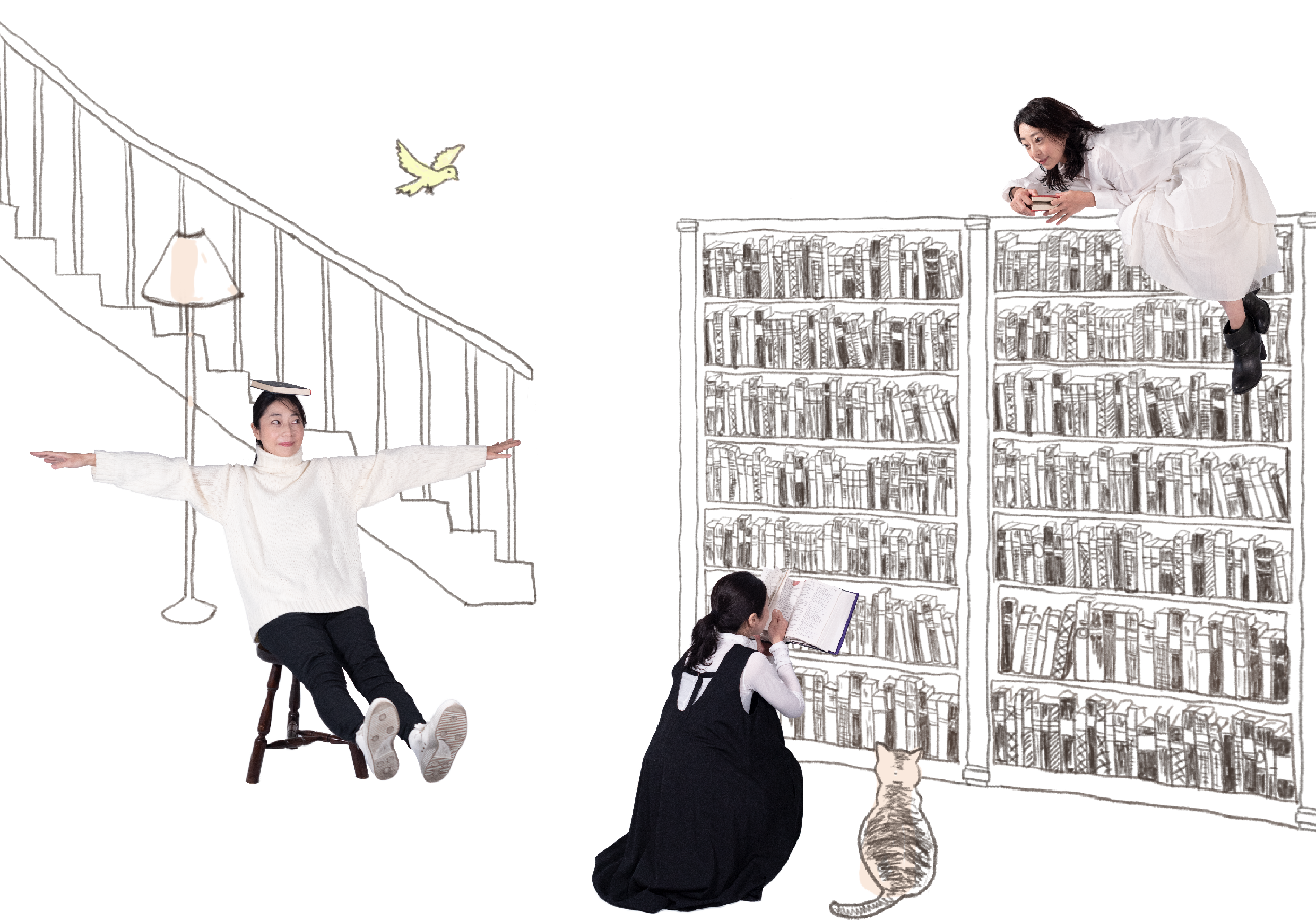 田中里衣・図書館